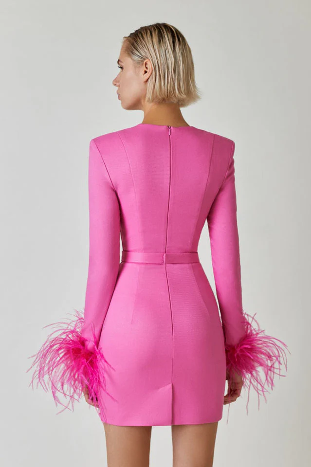 Feather Long Sleeve Bustier Dress - Image 4