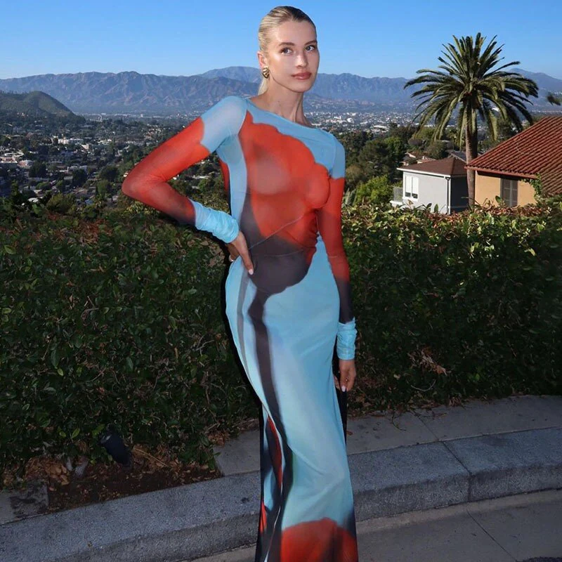 YTSU Mesh PRINTED Long Sleeve MAXI Dress - Image 3
