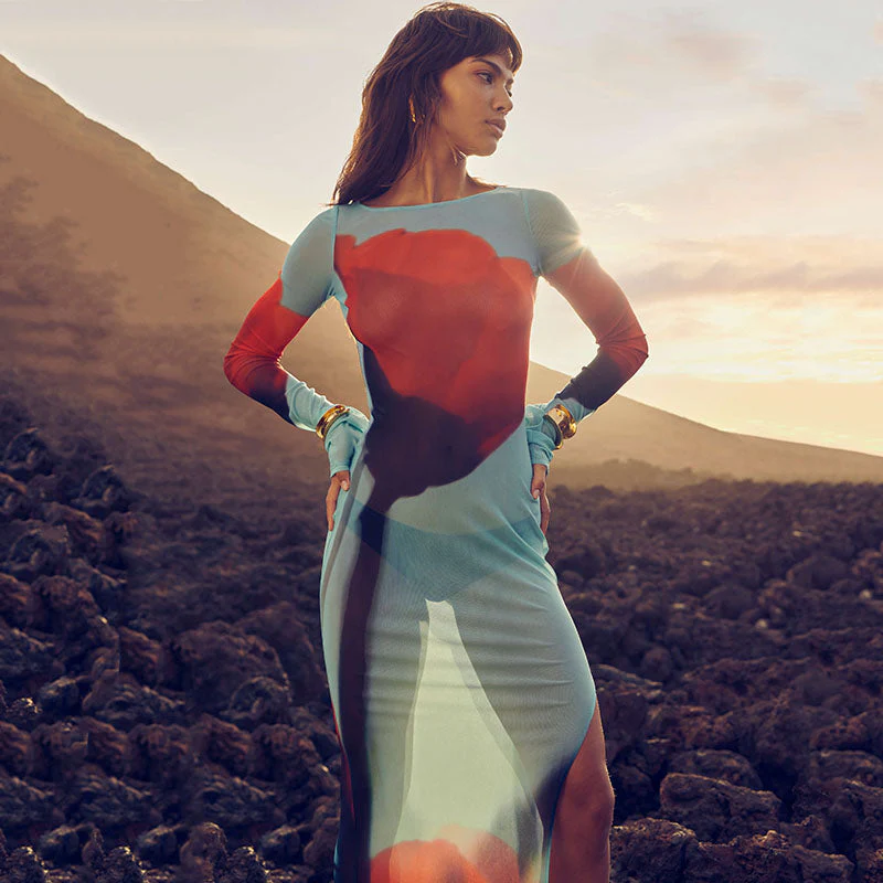 YTSU Mesh PRINTED Long Sleeve MAXI Dress - Image 6