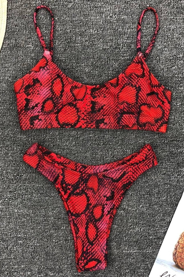 Leopard Print Bikini Set (Multicolor) - Image 28