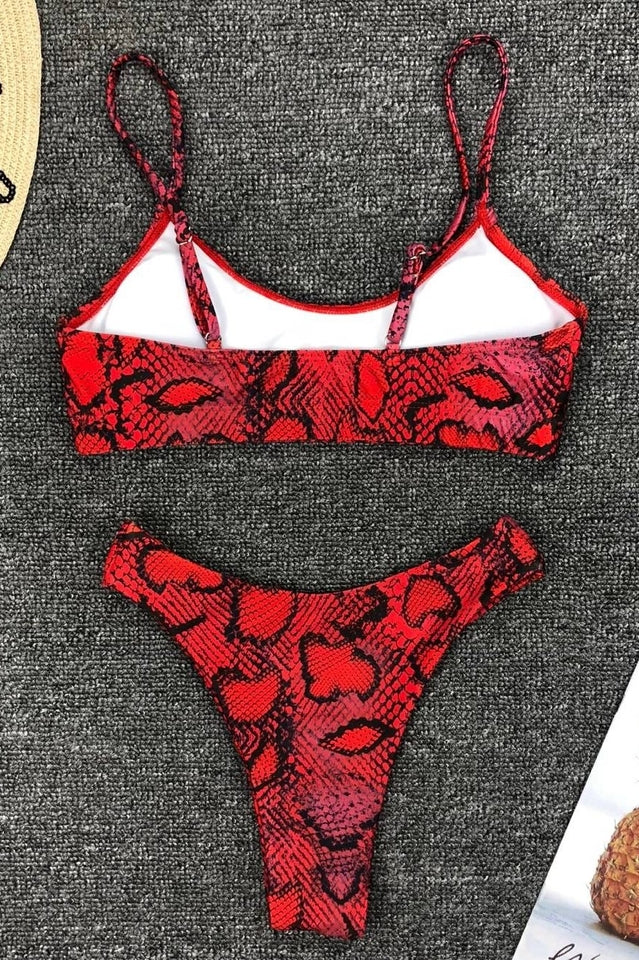 Leopard Print Bikini Set (Multicolor) - Image 29