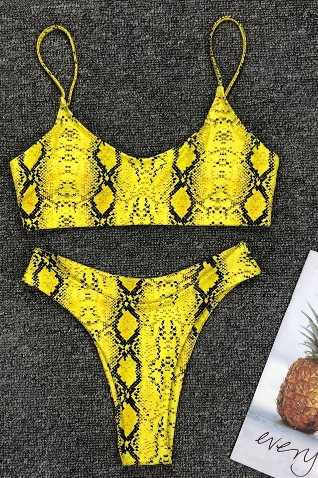 Leopard Print Bikini Set (Multicolor) - Image 34