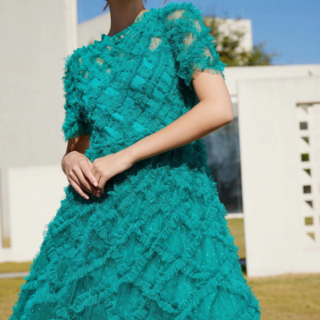 Opulent Crew Neck Sheer Sleeve High Waist A Line Dotted Tulle Ruffle Maxi Dress - Image 4