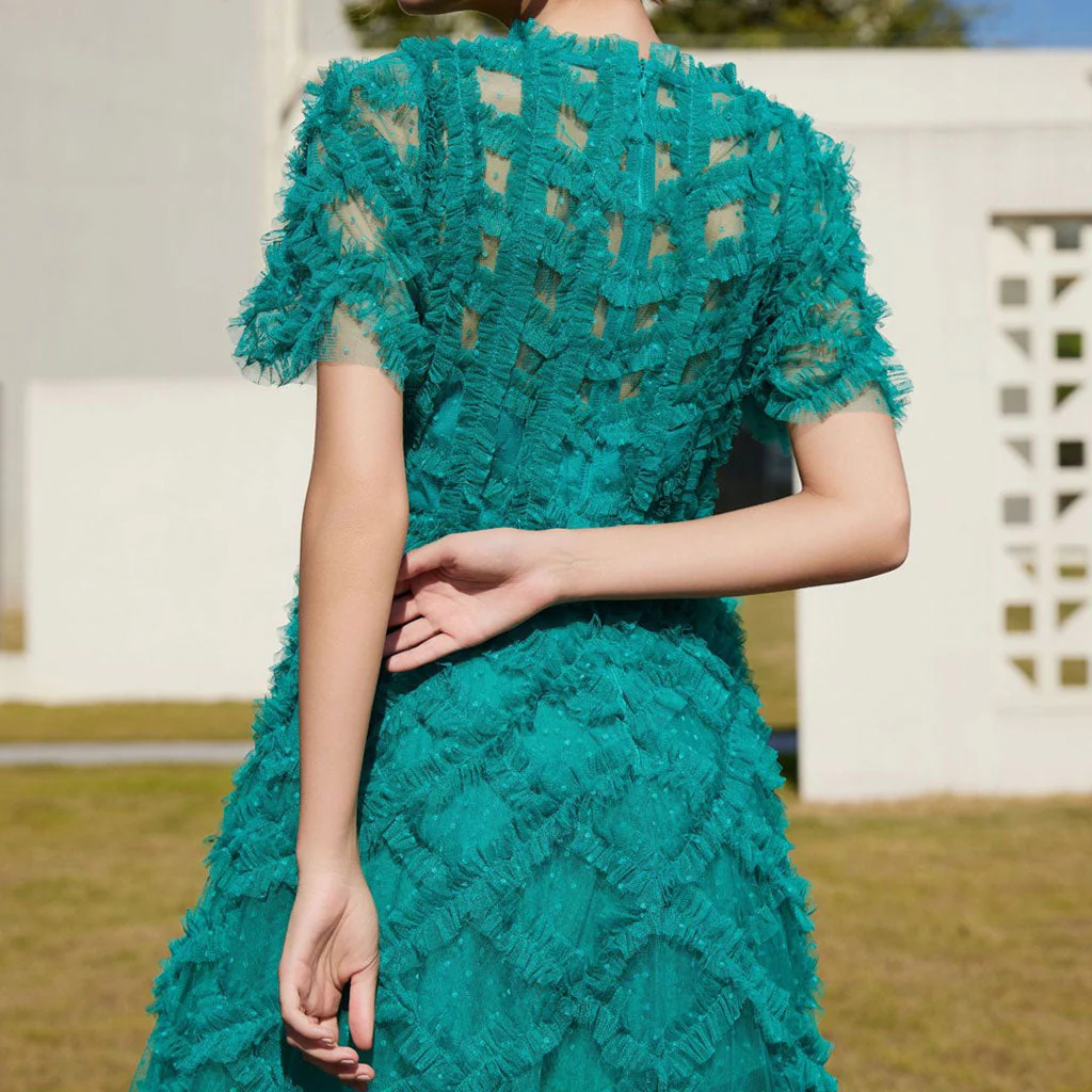 Opulent Crew Neck Sheer Sleeve High Waist A Line Dotted Tulle Ruffle Maxi Dress - Image 5