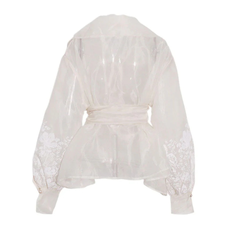 Transparent Shawl Collar Tie Belt Lantern Sleeve Floral Organza Blouse - Image 2
