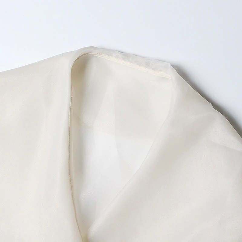Transparent Shawl Collar Tie Belt Lantern Sleeve Floral Organza Blouse - Image 3