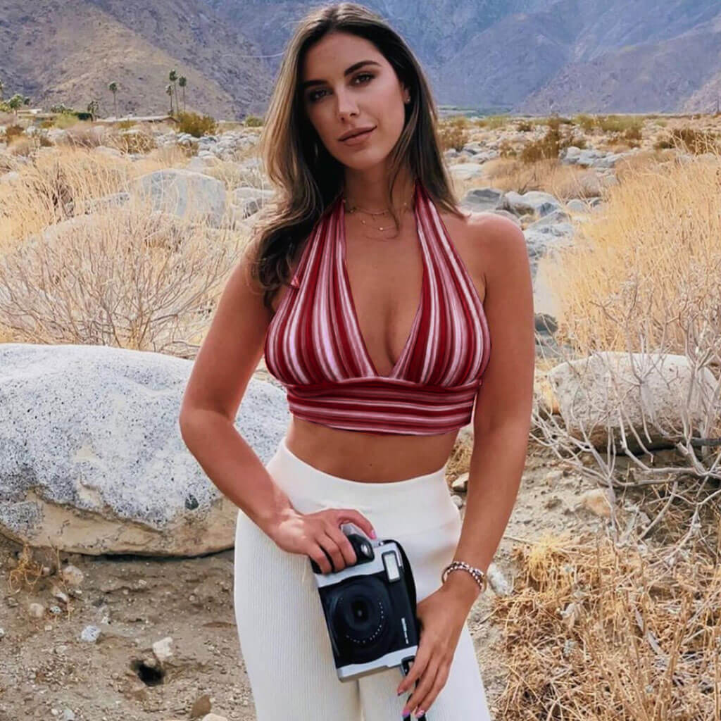 Vibrant Striped Print Halter Neck Tie Back Knitted Crop Top - Burgundy - Image 2
